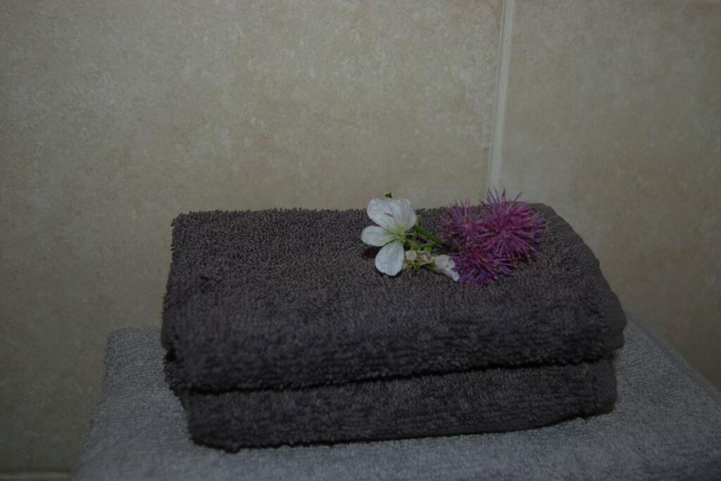 Creag Mhor Self Catering Holiday Apartment Aberfoyle  Exterior foto